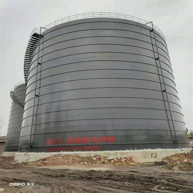 排湖风景区3万吨大型钢板库